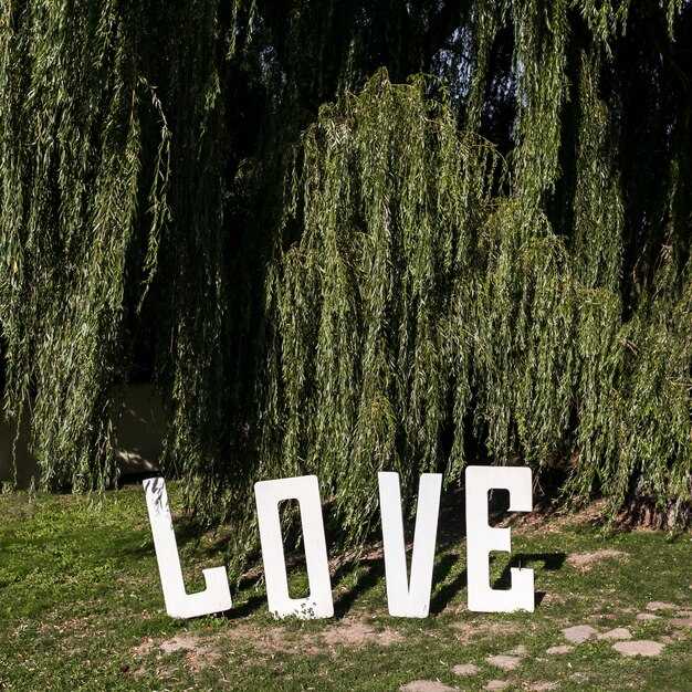 Сравнение традиционных и современных имен