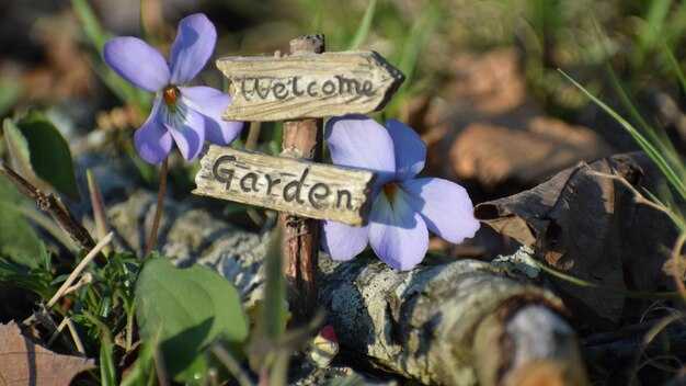 Психология восприятия имен